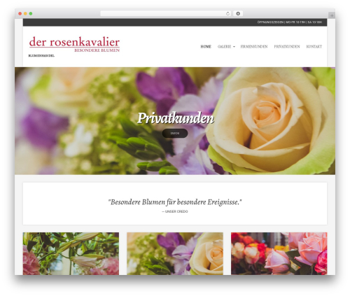 Theme WordPress Igloo - derrosenkavalier.at/redesign