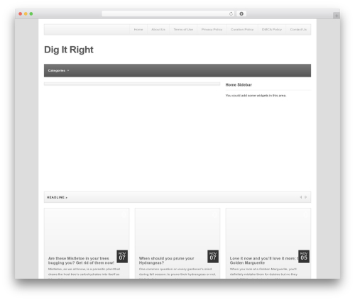 WordPress theme Table - digitright.com