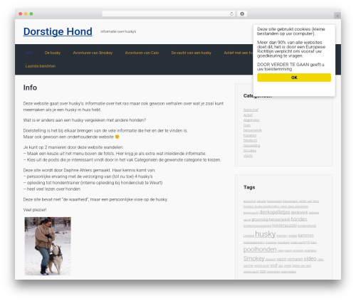 Adsense click fraud monitoring WordPress plugin - dorstigehond.nl