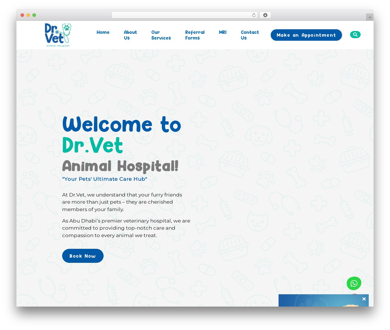 Hello Elementor WordPress theme design - drvet.ae Hello Elementor WordPress theme design - drvet.ae