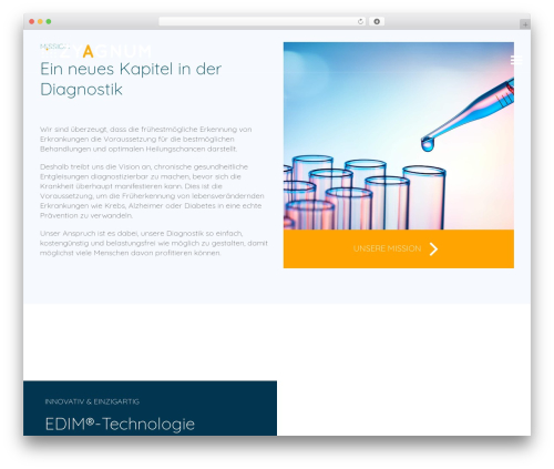 LabtechCO top WordPress theme - zyagnum.com
