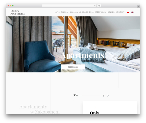 Theme WordPress Millenium Studio Theme - www.luxuryzakopane.pl