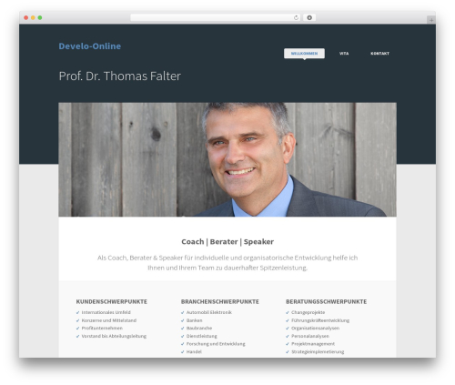 WordPress theme Wiretree - develo-online.de