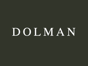 Dolman theme WordPress theme by Resolution design