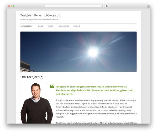 Tiny Framework WordPress theme free - dev.ryber.se