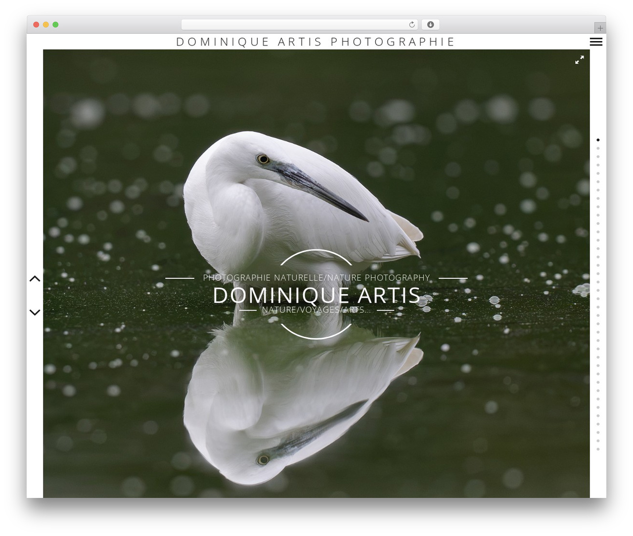 WordPress theme Border - dominiqueartis.fr WordPress theme Border - dominiqueartis.fr