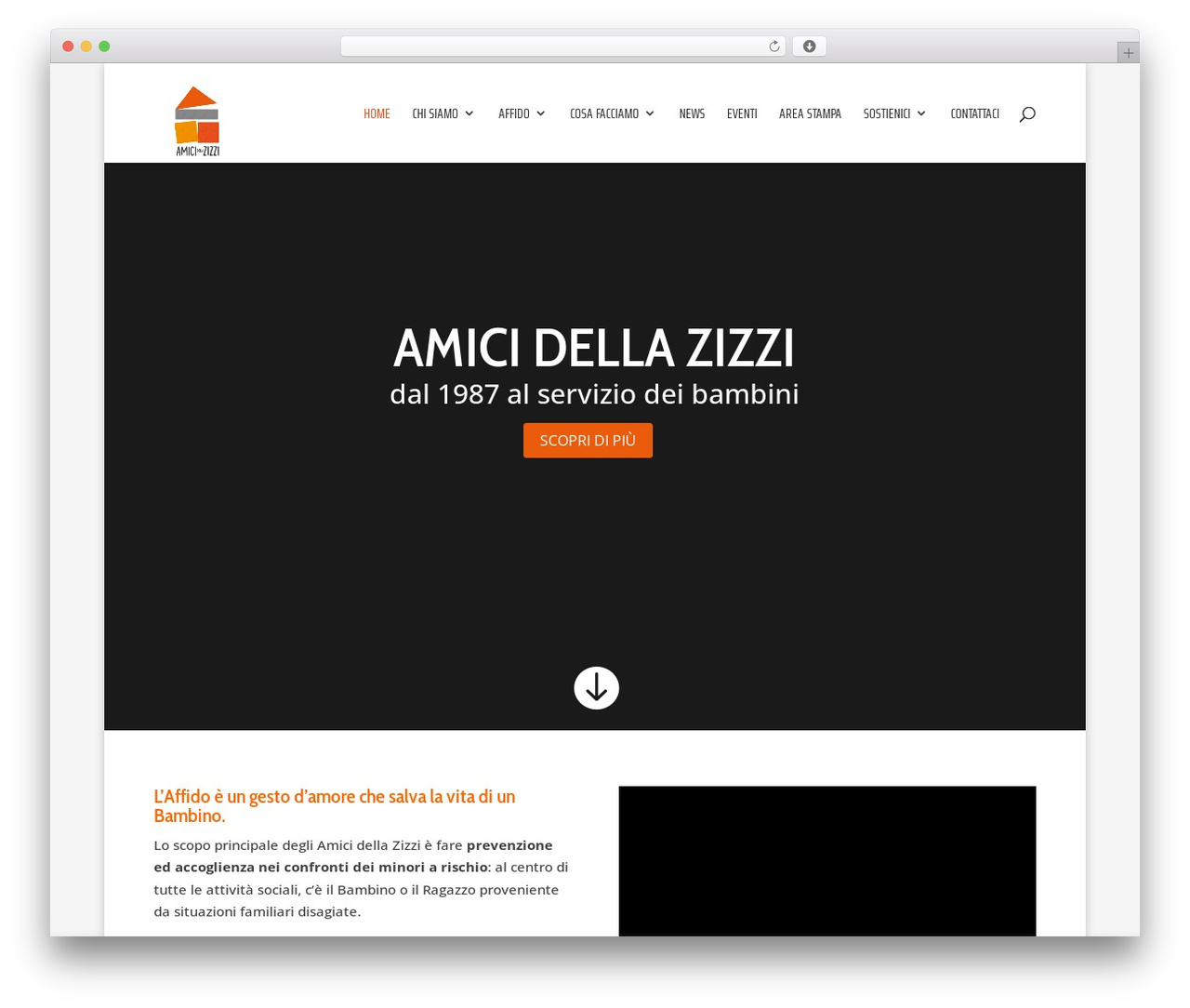 Divi theme WordPress - zizzi.org