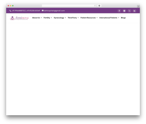 Divi pagespeed boster WordPress plugin - feminovaclinics.com
