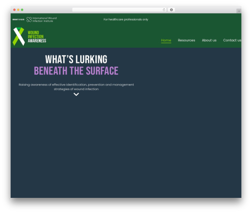 WordPress theme Hello Elementor - woundinfectionawareness.com