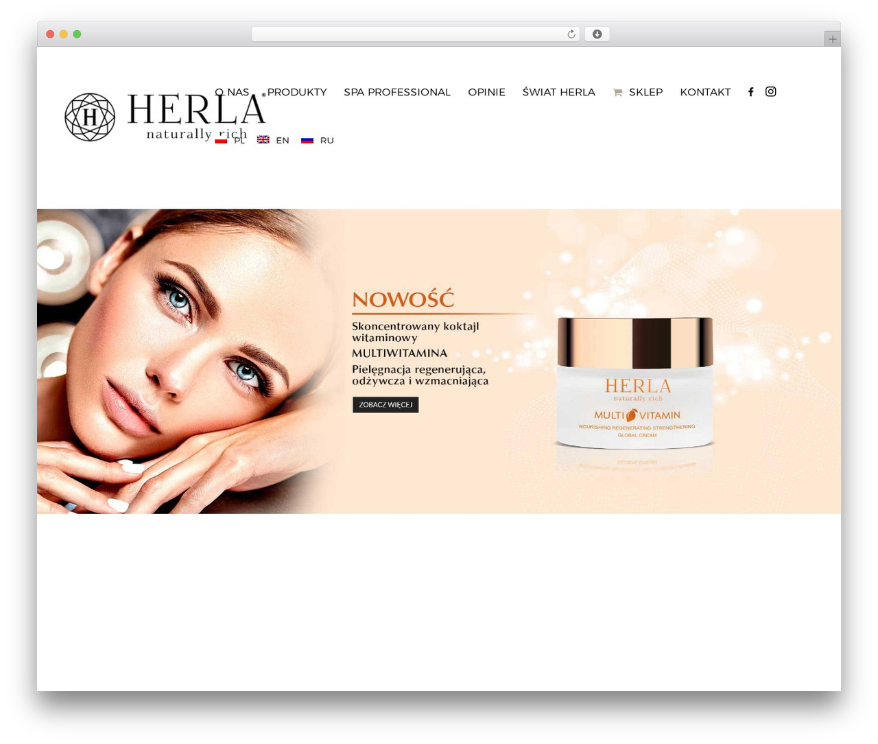WordPress website theme Fooz - herla.eu