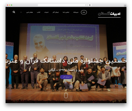 Rtl xtra WordPress plugin - litgol.ir