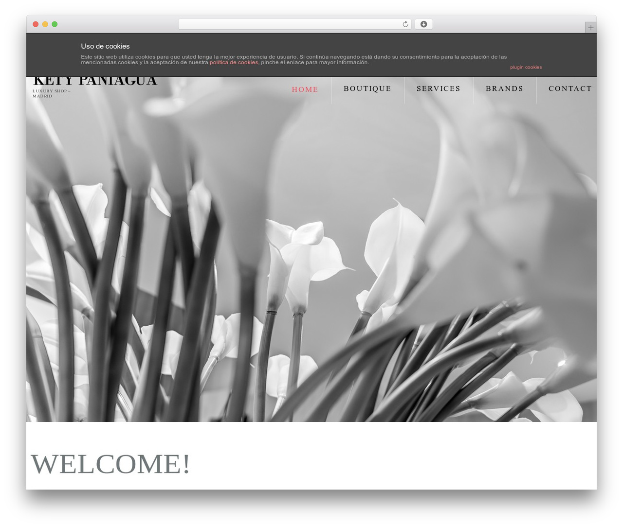 cherry WordPress ecommerce theme - ketypaniagua.com cherry WordPress ecommerce theme - ketypaniagua.com