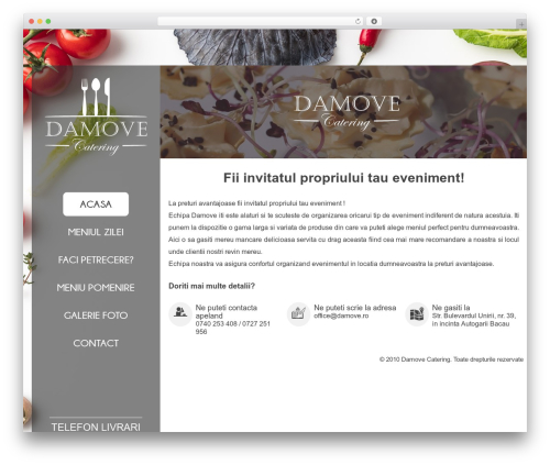 Damove WordPress theme - damove.ro