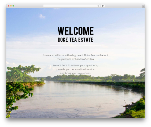 Siteleads WordPress plugin - doketea.com