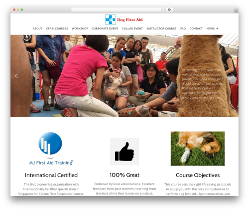 Llorix One Companion (llorix-one-companion) free WordPress plugin - dogfirstaid.com.sg