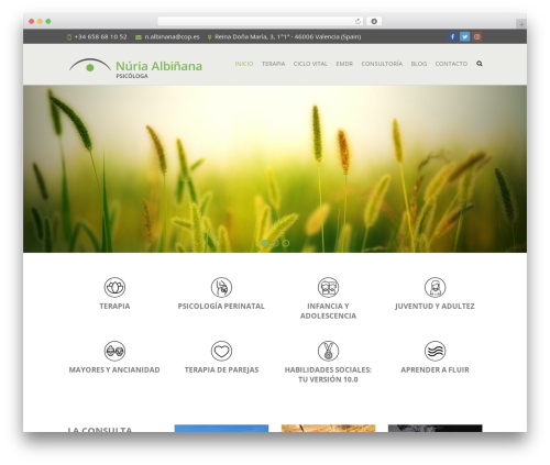 Theme WordPress Interface Pro - nuria-albinana.com