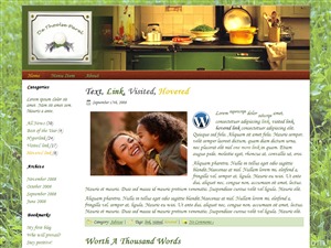 thoolse WordPress theme thoolse WordPress theme