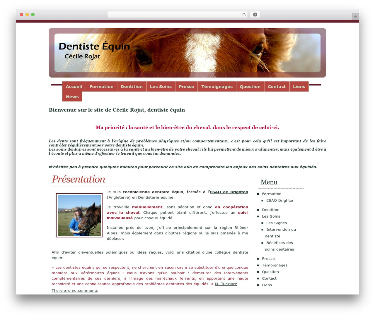 WhitePlus premium WordPress theme - dentiste-cheval.fr