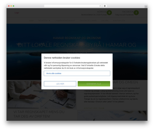 Verdimedia essentials WordPress plugin - hamar-regnskap.no