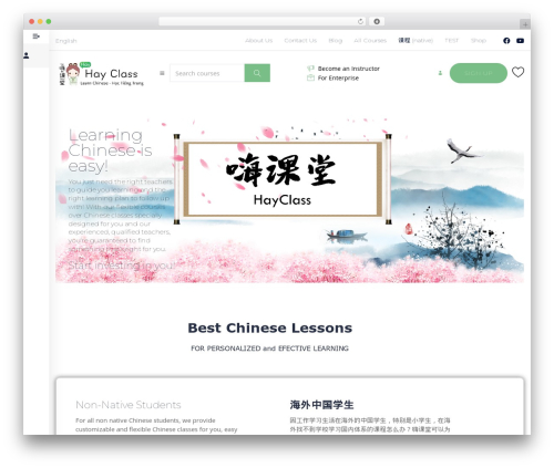 Masterstudy lms learning management system pro WordPress plugin - hayclass.com