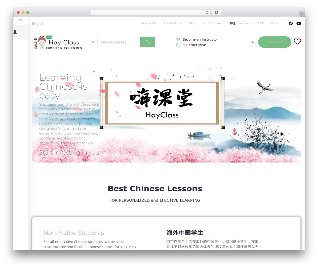 WordPress theme MasterStudy - hayclass.com