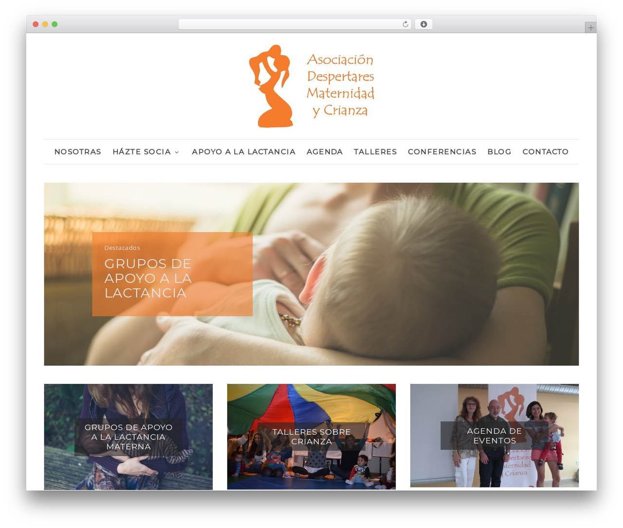 Aspect WordPress page theme - despertaresmaternidad.com