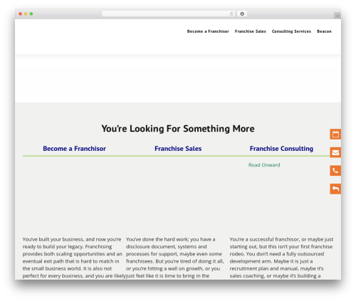 Wp hummingbird WordPress plugin - franchisebeacon.com