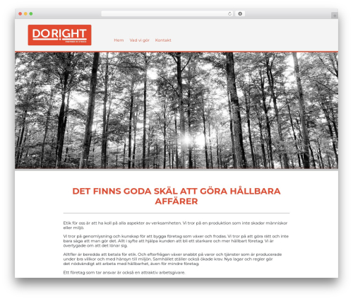 DoRight theme WordPress - dorightpartner.com
