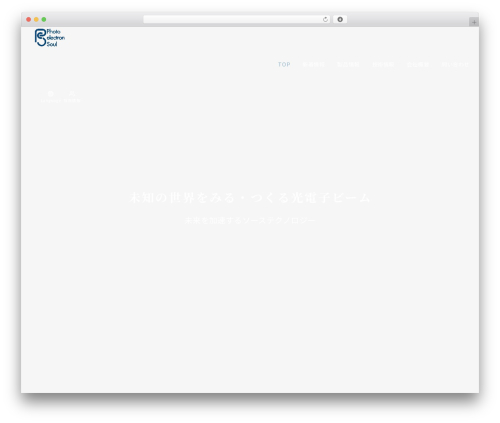 Emanon Premium WordPress website theme - photoelectronsoul.com