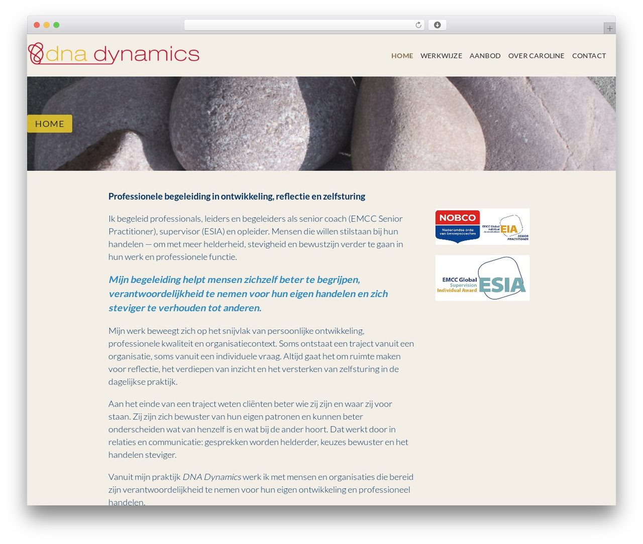Executive WordPress theme download - dnadynamics.nl Executive WordPress theme download - dnadynamics.nl