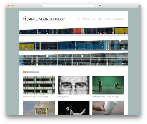 Filtered premium WordPress theme - danielvegaborrego.com