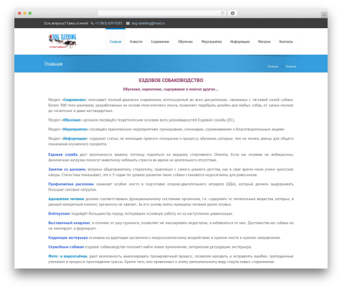 Bg RuTube Embed (bg-rutube-embed) free WordPress plugin - dog-sledding.ru