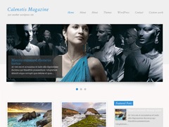 My_Template_Theme premium WordPress theme by sin2384