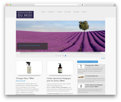 My_Template_Theme WordPress theme - douceursdumidi.com
