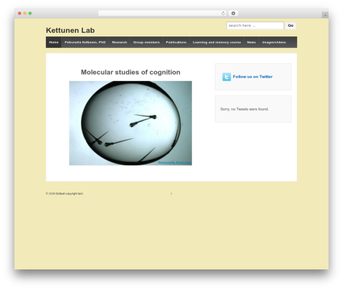 Kebo Twitter Feed (kebo-twitter-feed) free WordPress plugin - kettunen.se Kebo Twitter Feed (kebo-twitter-feed) free WordPress plugin - kettunen.se