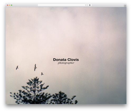 Theme WordPress Superba - donataclovis.com