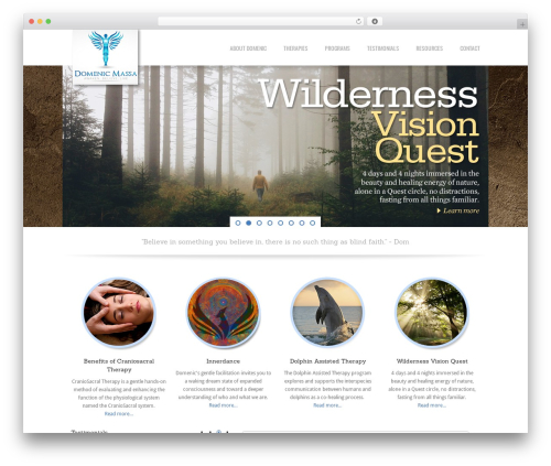 Wise Guys WP theme - domenicmassa.com
