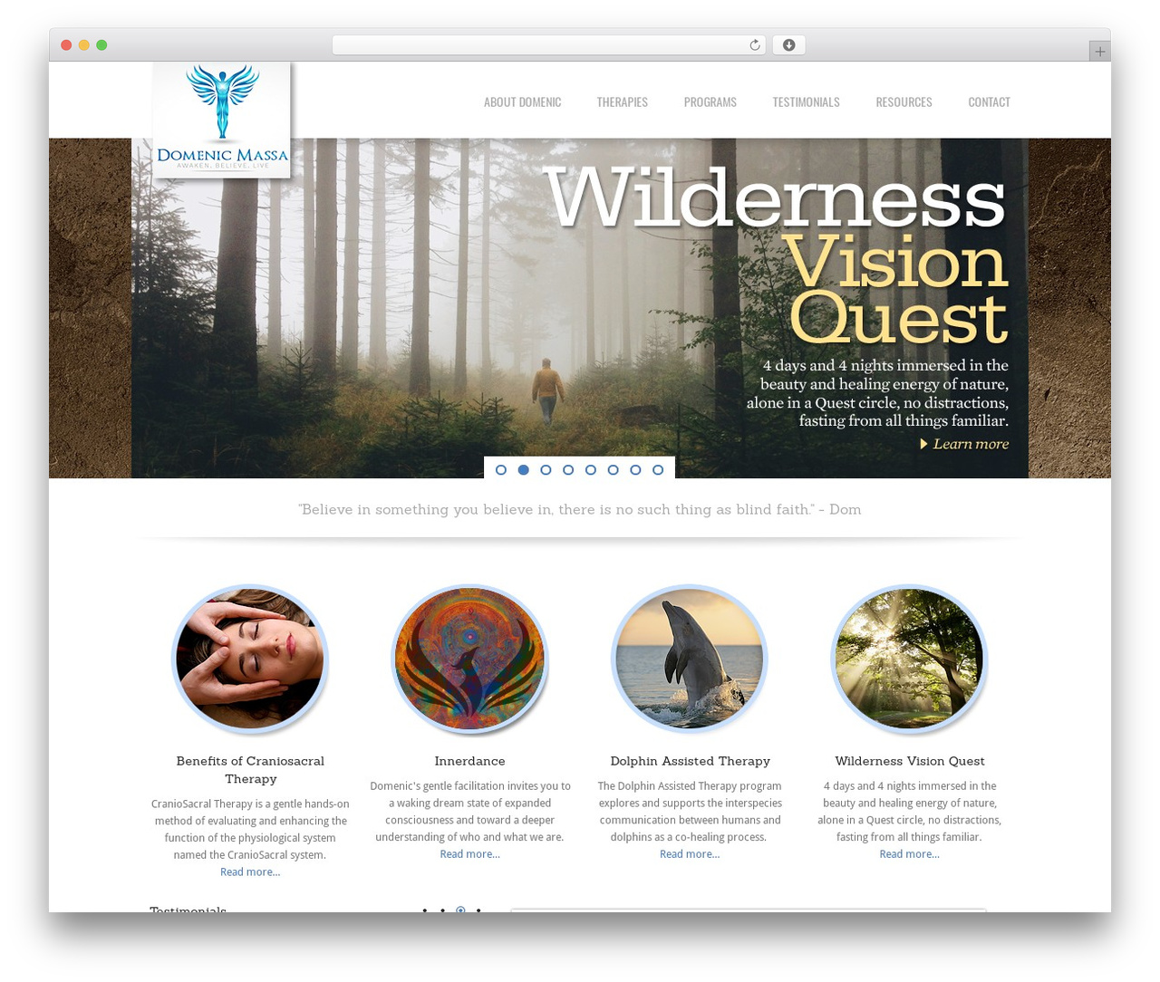 Wise Guys WP theme - domenicmassa.com