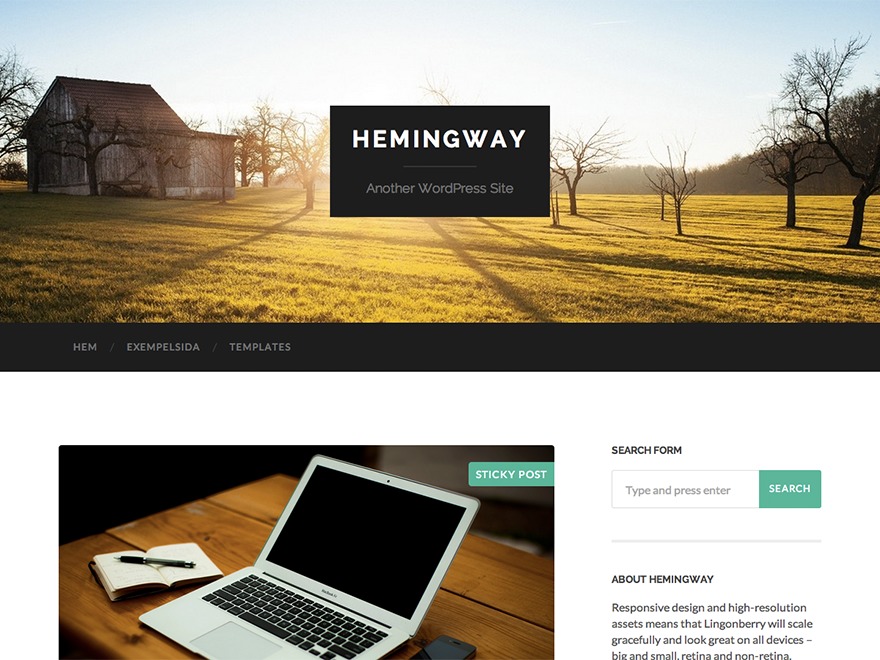 WordPress theme Hemingway Child
