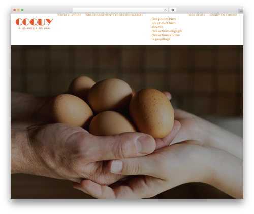 Tdc_gestion_cookies WordPress plugin - coquy.com