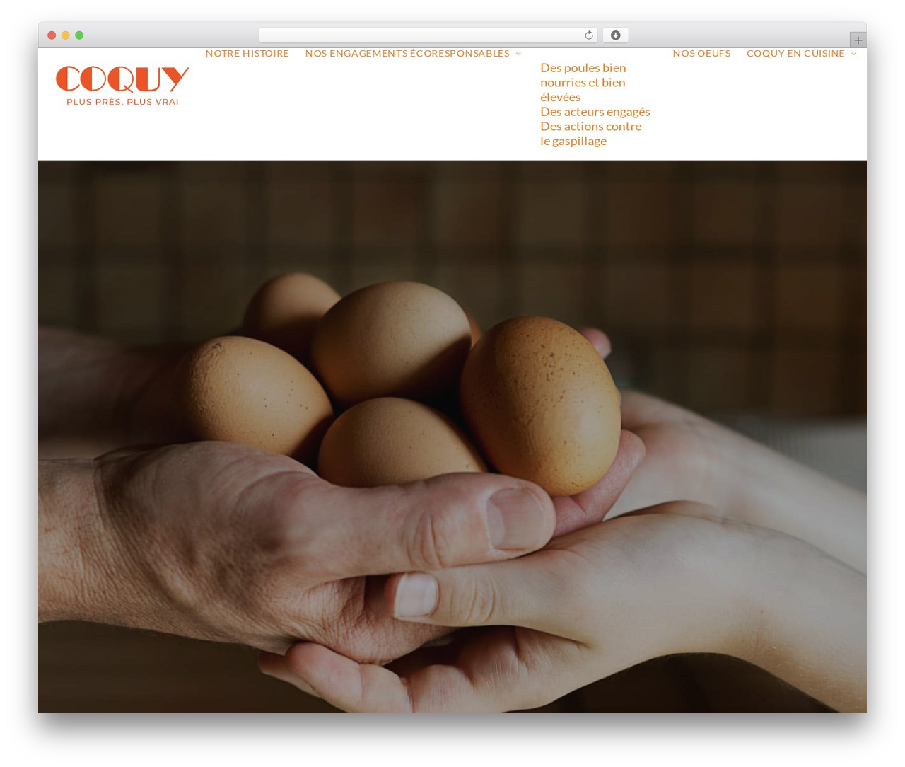 WordPress website theme Uncode - coquy.com WordPress website theme Uncode - coquy.com
