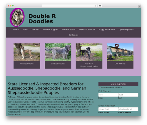 WP theme msh-toolbox - doubleraussiedoodles.com