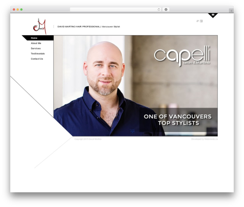 Architec premium WordPress theme - dmartinohair.com