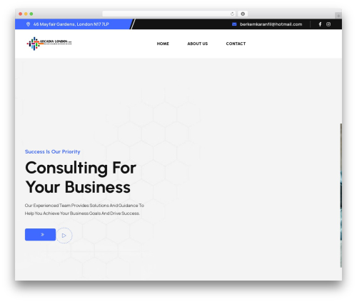 Conbix WordPress theme - arcadialondon.uk