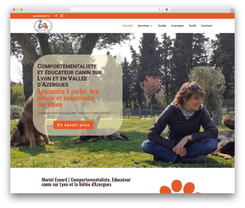 Divi theme WordPress - chienemoi.com