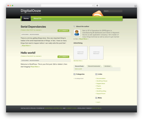 Excellence WordPress theme - digitalooze.com Excellence WordPress theme - digitalooze.com
