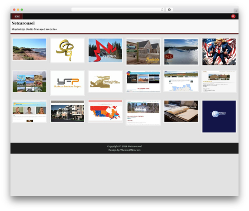 GridFlex premium WordPress theme - netcarousel.com GridFlex premium WordPress theme - netcarousel.com