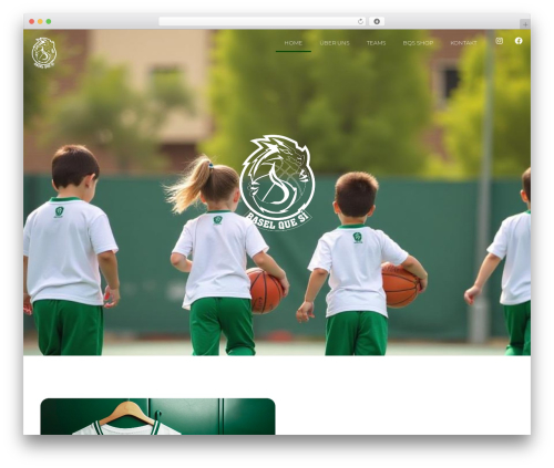 Responsive table for elementor WordPress plugin - www.baselquesi.ch
