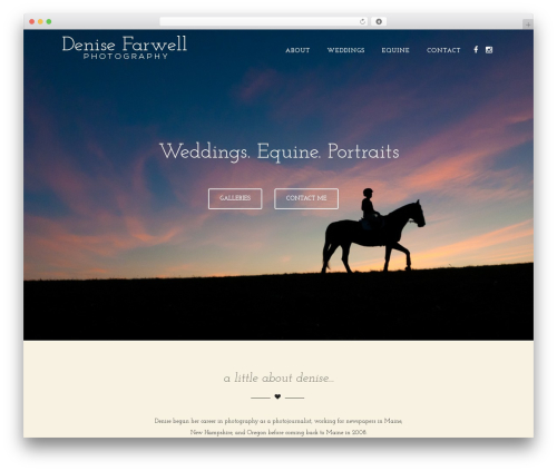 Optimizer best free WordPress theme - denisefarwell.com