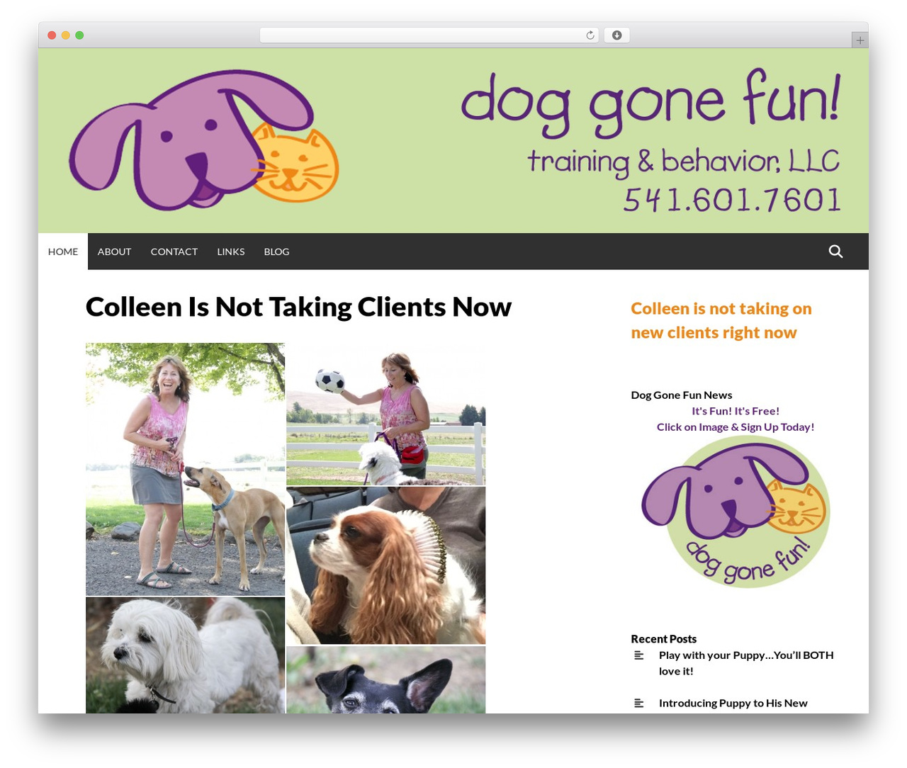 Simone WordPress page theme - doggonefun.biz